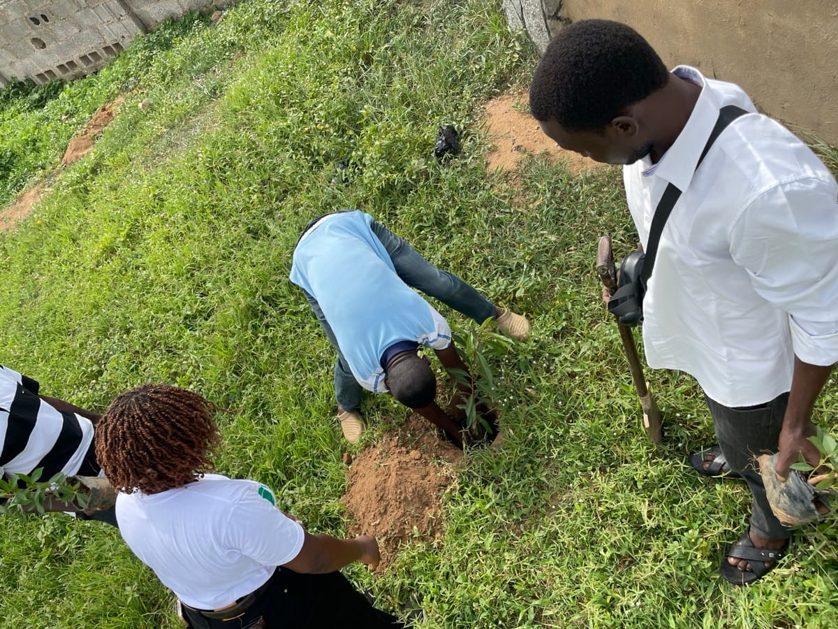 Community tree planting in Bwari