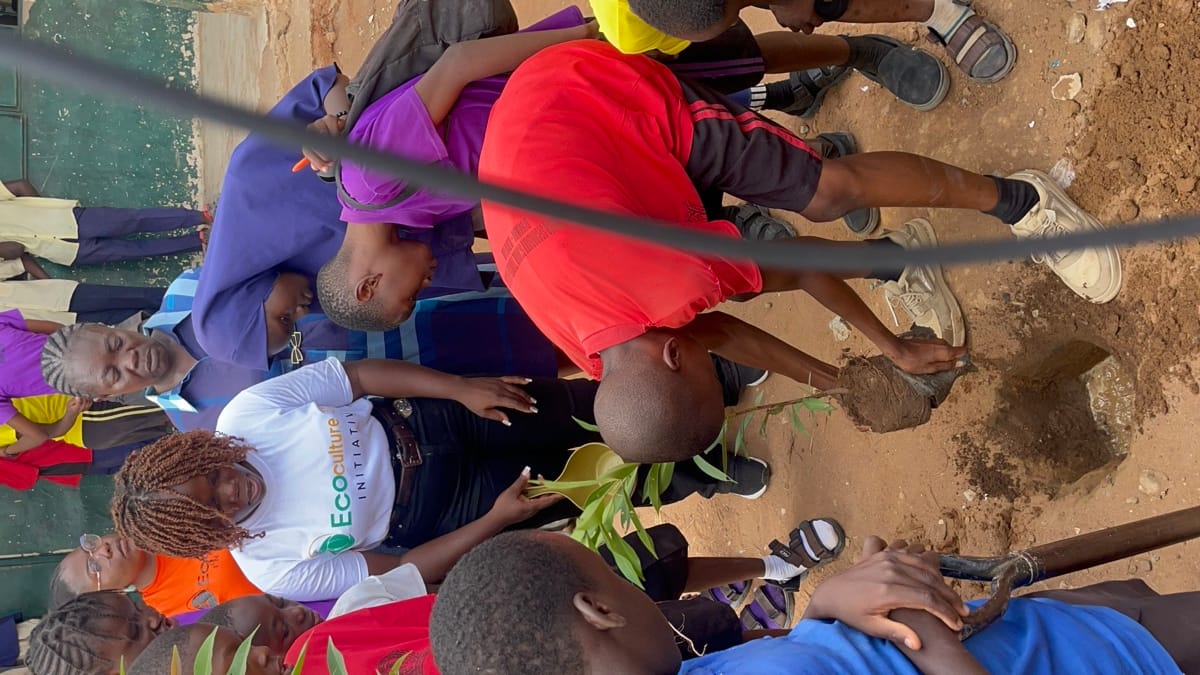 Volunteers planting a tree at a school courtyard in Bwari, Abuja